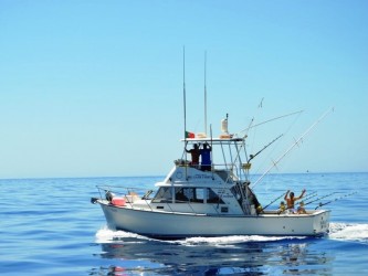 Big Game Madeira Sportfishing Shared Boat