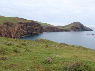 Birdwatching Land & Sea Tour Madeira