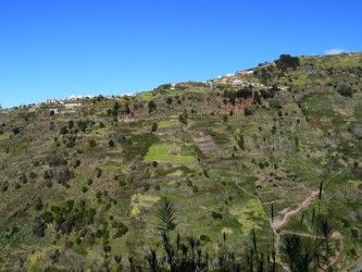 Boomerang Levada Walk in Ponta do Sol