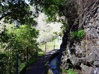 Boomerang Levada Walk in Ponta do Sol