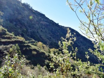 Boomerand Levada Walk in Ponta do Sol