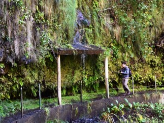 Boomerand Levada Walk in Ponta do Sol