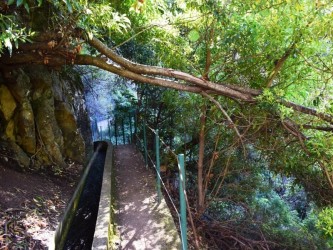 Boomerand Levada Walk in Ponta do Sol