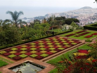 Private Garden Tour in Madeira Island Half Day