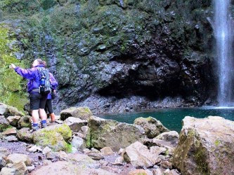 Caldeirão Verde Levada Walk, Madeira