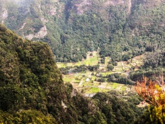 Chao da Ribeira Medium Trail Tour in Madeira Island