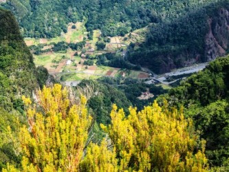 Chao da Ribeira Medium Trail Tour in Madeira Island