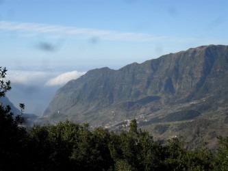 Half Day North Tour Excursion on a MiniBus Madeira