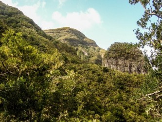 Chao dos Louros Easy trail tour in Madeira Island