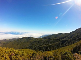 Conquer the Summit Running Tours in Madeira Island