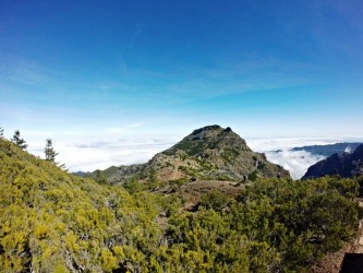 Conquer the Summit Running Tours in Madeira Island