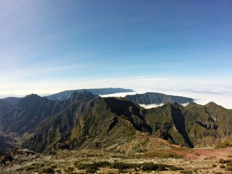 Conquer the Summit Running Tours in Madeira Island