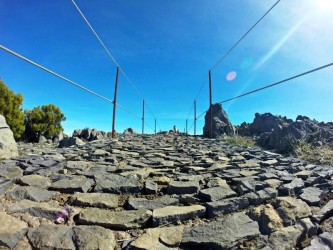 Conquer the Summit Running Tours in Madeira Island