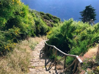 CR25 Walk on Curral Route Royal Path in Madeira