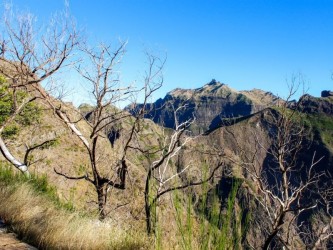 Curral Das Freiras - Madeira Trail Tours (hard)