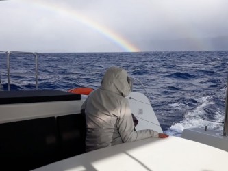 Desertas Island Adventure Catamaran Trip from Funchal