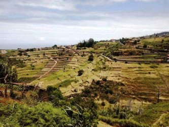 Discovering the South Madeira Jeep Safari