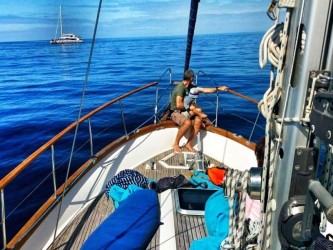 Dolphin and Whale watching on Sailboat in Madeira