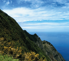 Dust and Mud Buggy Safari Tour 3h na Madeira