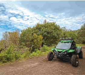 Dust and Mud Buggy Safari Tour 3h na Madeira