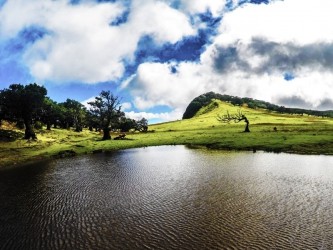 Fanal medium Trail Tour in Madeira Island