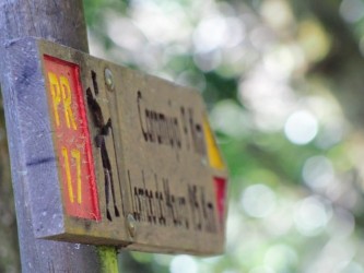 Folhadal Levada Walk in Madeira Island