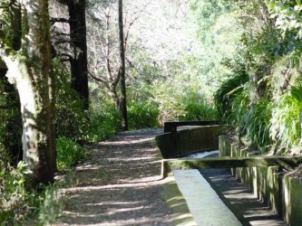 Folhadal Levada Walk in Madeira Island