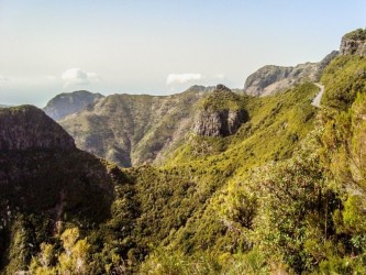 Folhadal Medium Trail Tour in Madeira Island