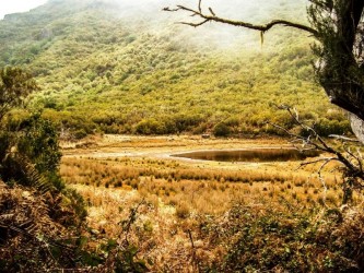 Folhadal Medium Trail Tour in Madeira Island