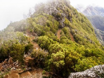 Folhadal Medium Trail Tour in Madeira Island