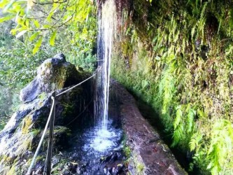 From Queimadas to Caldeirao Verde Levada Walk