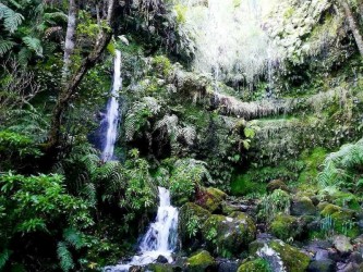 From Queimadas to Caldeirao Verde Levada Walk