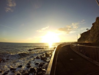 Funchal City Tour Running Tours in Madeira Island