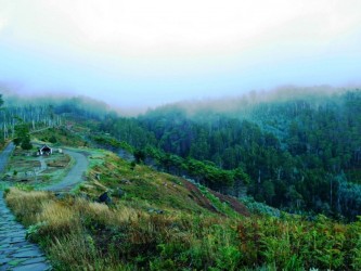 Funchal Ecological Park Running Tours in Madeira Island