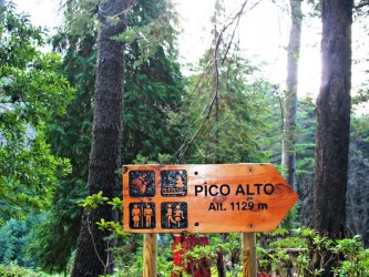 Funchal Ecological Park Running Tours in Madeira Island