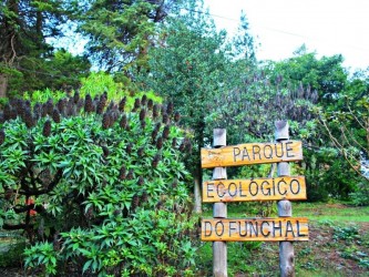 Funchal Ecological Park Running Tours in Madeira Island