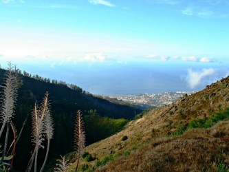 Funchal Ecological Park Running Tours in Madeira Island