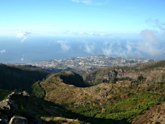 Funchal Ecological Park Running Tours in Madeira Island