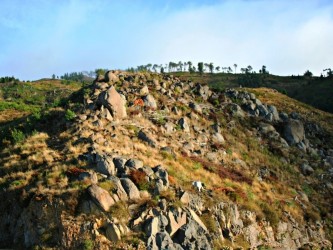 Funchal Ecological Park Running Tours in Madeira Island