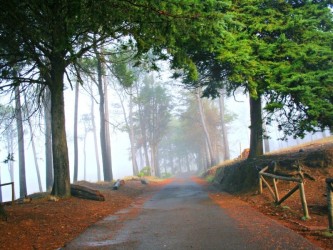 Funchal Ecological Park Running Tours in Madeira Island