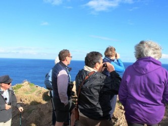 Geology Tour The Origins of Madeira Island