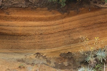 Geology Tour Volcanoes & Caves of Madeira