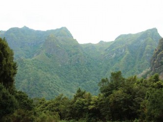 Hells River Levada Walk Madeira