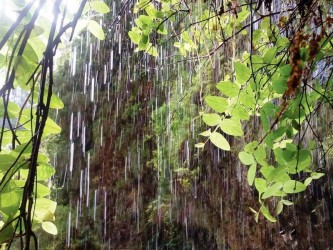 Hells River Levada Walk Madeira