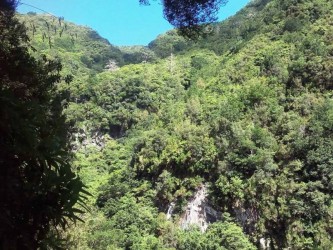 Hells River Levada Walk Madeira