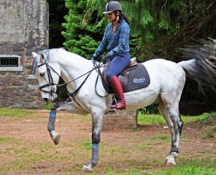 Levada da Serra Horse Riding Trail in Madeira