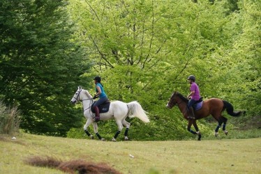 Levada da Serra Horse Riding Trail in Madeira