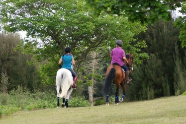 Levada da Serra Horse Riding Trail in Madeira