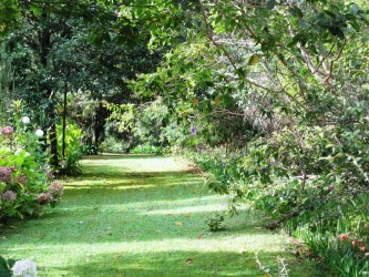 Jardim da Quinta da Junta Garden, Santo Antonio da Serra, Madeira