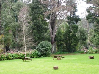 Jardim da Quinta da Junta Garden, Santo Antonio da Serra, Madeira